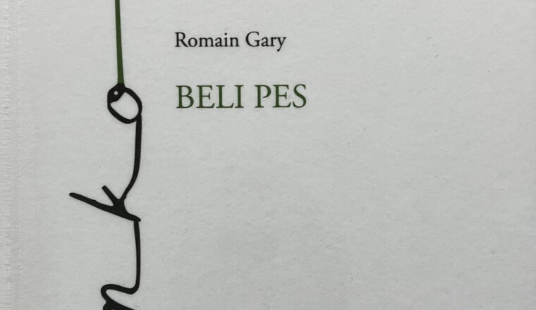 Beli pes