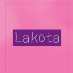 Naslovnica: Lakota : spomini (mojega) telesa