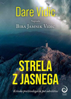 Naslovnica: Strela z jasnega : krivda preživelega in pot odrešitve