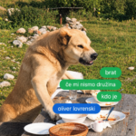Naslovnica: Brat, če mi nismo družina, kdo je