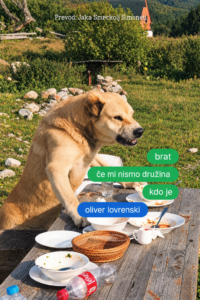 Naslovnica: Brat, če mi nismo družina, kdo je