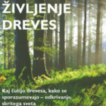 Naslovnica: Skrivno življenje dreves : kaj čutijo drevesa, kako se sporazumevajo – odkrivanje skritega sveta