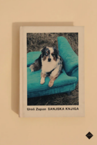 Naslovnica: Sanjska knjiga