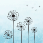 Profile picture of Lučka