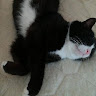 Profile picture of Mojca