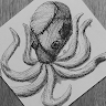 Profile picture of Lin