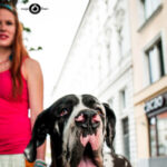 Profile picture of tamarcica